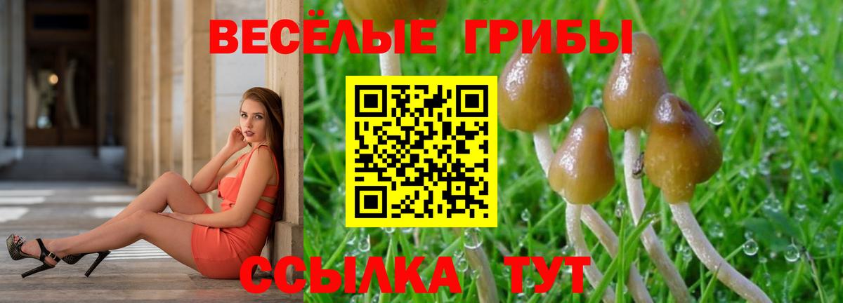 Клин  Галлюциногенные грибы Cubensis  Вход с VPN  Псилоцибиновые грибы Cubensis 